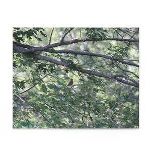 Nature-inspired Puzzle for Bird Lovers, 120 252 500-Piece Birds in Trees, Eco-friendly Gift, Relaxing Activity, Home Puzzle