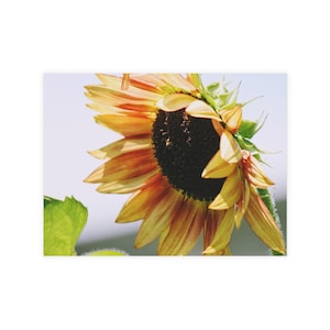 Bundels met zonnebloemen | Wenskaarten, briefpapierset, bloemige noten, handgeschreven berichten, perfect voor alle gelegenheden