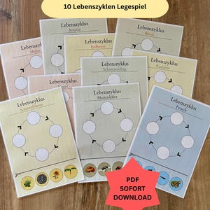 Carte illustrate realistiche sul ciclo di vita, fasi della vita, gioco di apprendimento Montessori, gioco di smistamento del cerchio della vita, gioco di posa per bambini piccoli, PDF, giocattolo fai da te per l'asilo nido