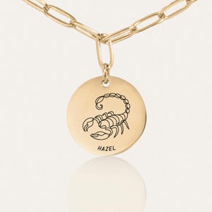 Zodiac Sign Necklace - Custom Coin Pendant on Paperclip Chain - Stainless Steel, 18K Gold Plated - Personalized Astrology Jewelry Gift
