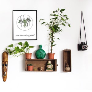 Bagnare le mie piante stampabili / 8,5" x 11" / Piante d'appartamento, Monstera, Piante sospese