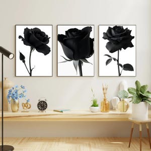 A Set of 3 Elegant Black Rose Print - Instant Digital Download - Dark Floral Decor - Modern Minimalist Print - Digital Download -