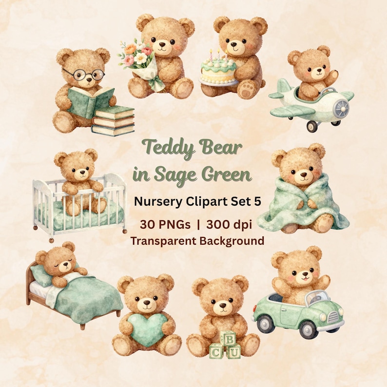 Sage Green Teddy Bear Clipart PNG, Watercolor Boho Baby Bear Nursery ...