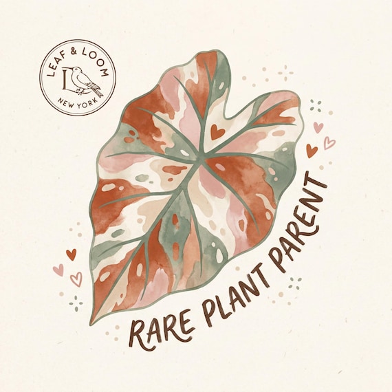 Rare Plant Parent Sticker | Watercolor Alocasia Leaf Decal 2" | Plant Lover Gift | Aroid Botanical Laptop Sticker | Houseplant Decal