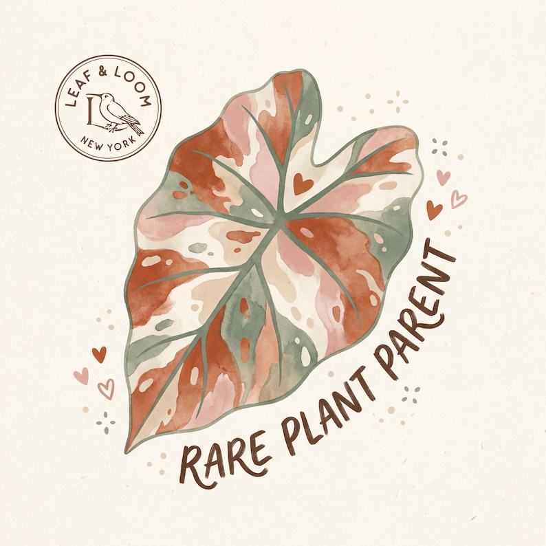 May include: Watercolor illustration of a large leaf with a variegated pattern in shades of pink, green, and brown. The text "RARE PLANT PARENT" is written in a curved font. The image also includes a circular logo with the text "LEAF & LOOM NEW YORK".