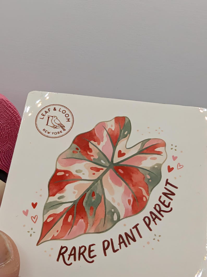 May include: A square coaster with a watercolor illustration of a leaf in shades of red, pink, and green, with small hearts around the leaf. The text "RARE PLANT PARENT" is written in a dark red script below the leaf. The coaster has the "LEAF & LOOM NEW YORK" logo.