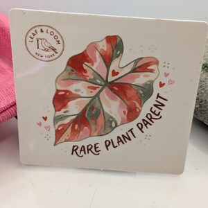 May include: Square coaster with a watercolor illustration of a variegated leaf in shades of pink, red, and green. The coaster has the text "RARE PLANT PARENT" and the "LEAF & LOOM NEW YORK" logo.