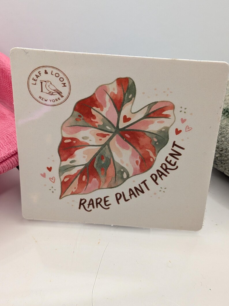 May include: Square coaster with a watercolor illustration of a variegated leaf in shades of pink, red, and green. The coaster has the text "RARE PLANT PARENT" and the "LEAF & LOOM NEW YORK" logo.