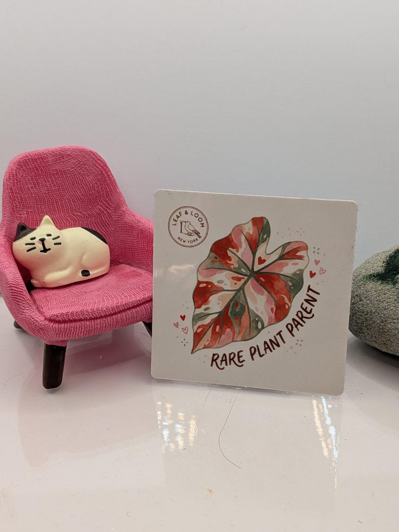 May include: A square white sticker with a watercolor illustration of a pink and green leaf, with the text "Rare Plant Parent." A small pink chair with a cat-shaped pillow is to the left.