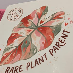 Rare Plant Parent Sticker | Watercolor Alocasia Leaf Decal 2" | Plant Lover Gift | Aroid Botanical Laptop Sticker | Houseplant Decal image 2