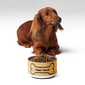 Feeding bowl with dog name personalized