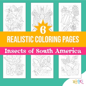 Realistic Insect Coloring Pages | Bugs of Central & South America | Printable Art for Kids and Adults | Hand Drawn, No AI