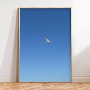 Seagull Art Print (Physical Print)