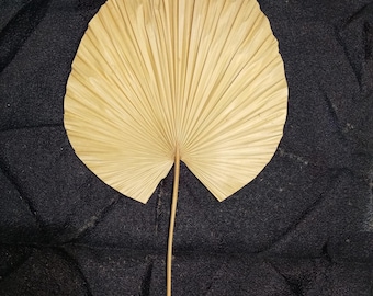 Set of 3 Dried Palm Leaf Spears: Large Boho Wall Decor