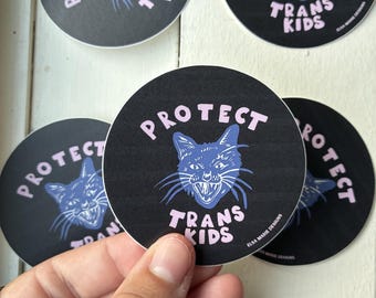 Protect Trans Kids vinyl sticker