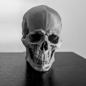 Human Skull Anatomical Model Printable Version | STL File | 3D Printing | Support Ready Bone Replica For Halloween Decor And Educational