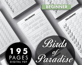 Birds of Paradise Font PDF Printable Calligraphy Practice Sheet Procreate Calligraphy Alphabet Beginner Digital Hand Lettering Drills Guide