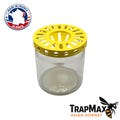 Asian Hornet Trap – Screws onto jam jar product logo