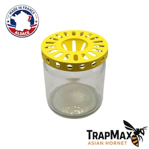 Piège à Frelon Asiatique – À visser sur pot de confiture