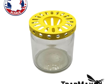 Piège à Frelon Asiatique – À visser sur pot de confiture