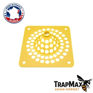 Pode incluir: Um componente de armadilha quadrado de plástico amarelo brilhante com um cone central elevado com um padrão de grade hexagonal e orifícios circulares em cada canto. O texto "MADE IN FRANCE ALSACE" aparece num logótipo circular e "TRAPMAX ASIAN HORNET" está impresso abaixo.