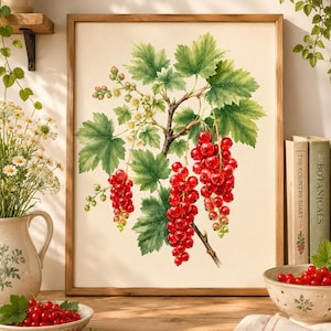 Botaniczna sztuka ścienna z czerwoną porzeczką, akwarelowy wydruk z gałązką czerwonej porzeczki, plakat z botanicznymi owocami, wystrój kuchni Cottagecore, sztuka ścienna do ogrodu