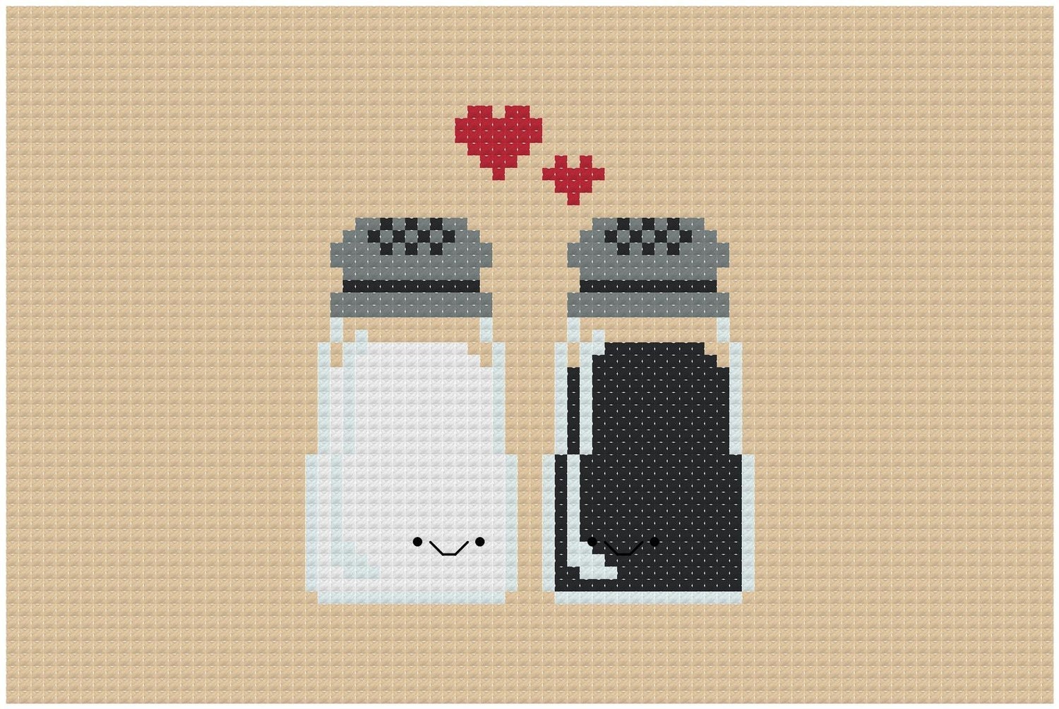 Perfect Pairings Kawaii Salt and Pepper PDF Crossstitch Etsy
