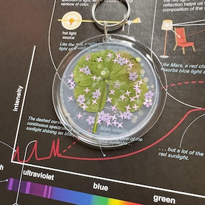 April 11th - Lucky Handmade FIVE-Leaf Clover Keychain | Lucky Clover Charm | Good Luck Accessory | Unique Gift Idea