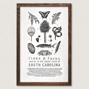 South Carolina Wildlife Field Guide Print - SC Outdoors Flora Fauna Wall Art