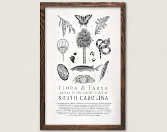 South Carolina Wildlife Field Guide Print - SC Outdoors Flora Fauna Wall Art