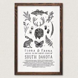 South Dakota Wildlife Field Guide Print - SD Outdoors Flora Fauna Wall Art