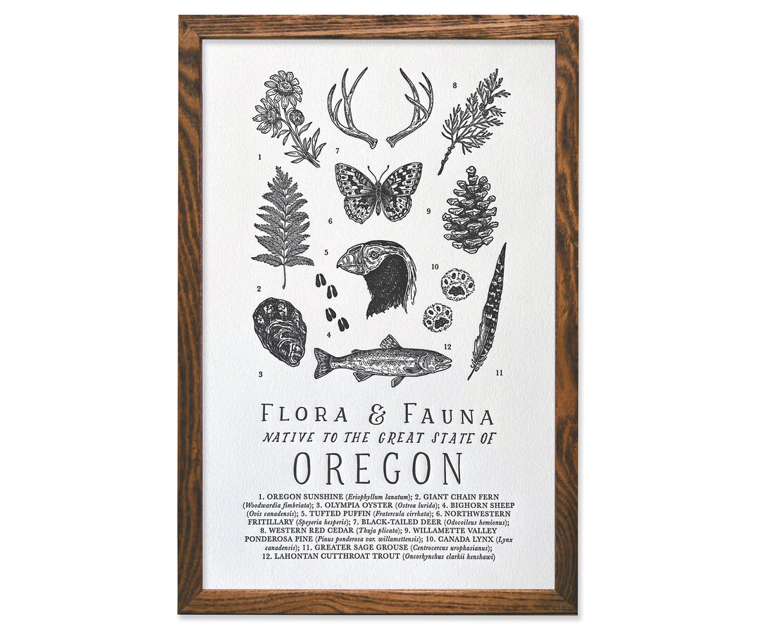 Oregon Wildlife Field Guide Print OR Outdoors Flora Fauna Wall Art - Etsy
