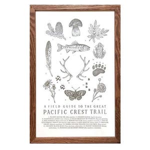 Pacific Crest Trail Wildlife Field Guide Letterpress Print PCT PNW Hiking Trail Outdoors Nature Wall Art image 3