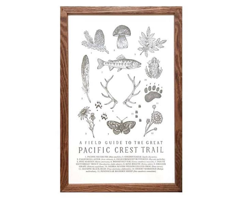 Pacific Crest Trail Wildlife Field Guide Letterpress Print PCT PNW Hiking Trail Outdoors Nature Wall Art image 3