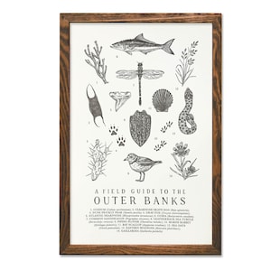 Field Guide to the Outer Banks Wildlife Print - OBX Outdoors Flora Fauna Wall Art