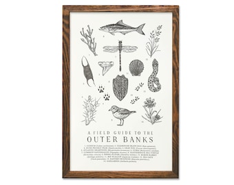 Field Guide to the Outer Banks Wildlife Print - OBX Outdoors Flora Fauna Wall Art