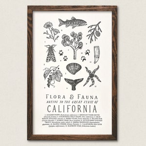 California Wildlife Field Guide Letterpress Print - CA Outdoors Flora Fauna Wall Art