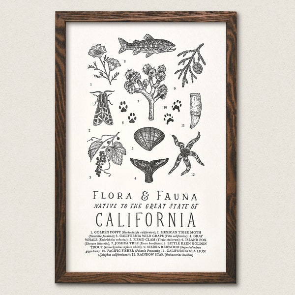 California Wildlife Field Guide Letterpress Print - CA Outdoors Flora Fauna Wall Art