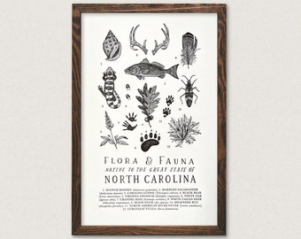 North Carolina Wildlife Field Guide Print - NC Outdoors Flora Fauna Wall Art