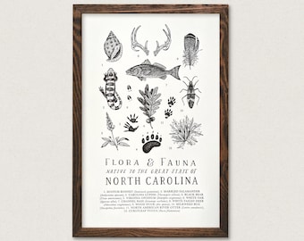 North Carolina Wildlife Field Guide Print - NC Outdoors Flora Fauna Wall Art