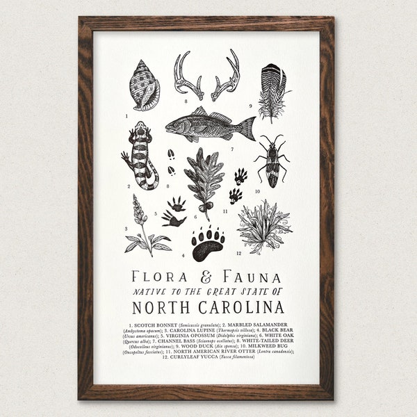 North Carolina Wildlife Field Guide Print - NC Outdoors Flora Fauna Wall Art