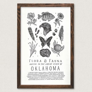 Oklahoma Wildlife Field Guide Print - OK Outdoors Flora Fauna Wall Art