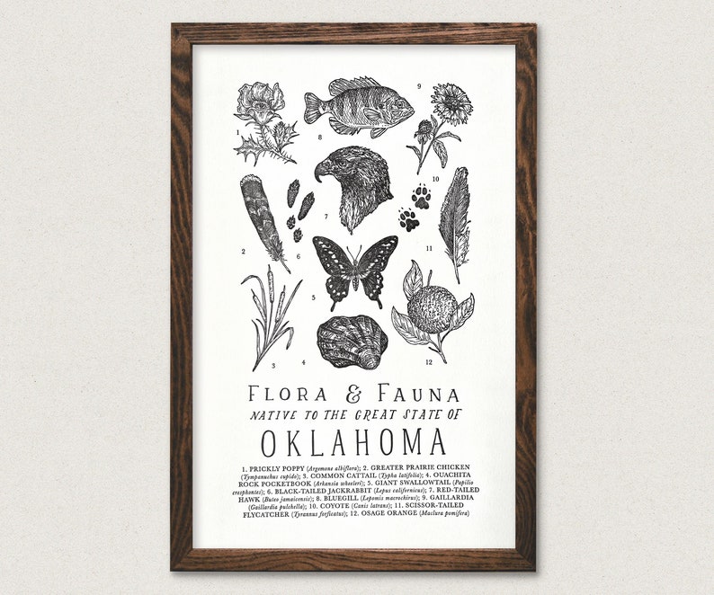 Oklahoma Wildlife Field Guide Print OK Outdoors Flora Fauna Wall Art image 1