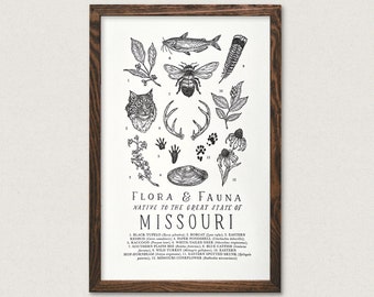 Missouri Wildlife Field Guide Print - MO Outdoors Flora Fauna Wall Art