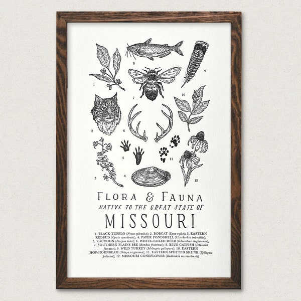 Missouri Wildlife Field Guide Print - MO Outdoors Flora Fauna Wall Art