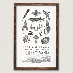 Pennsylvania Wildlife Field Guide Letterpress Print - PA Outdoors Flora Fauna Wall Art