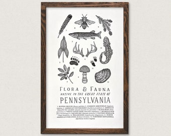 Pennsylvania Wildlife Field Guide Letterpress Print - PA Outdoors Flora Fauna Wall Art