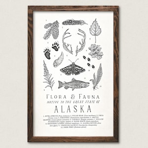 Alaska Wildlife Field Guide Print - AK