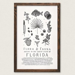 Florida Wildlife Field Guide Print - FL Outdoors Flora Fauna Wall Art