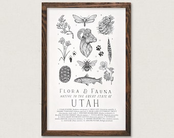 Utah Wildlife Field Guide Print - UT Outdoors Flora Fauna Wall Art